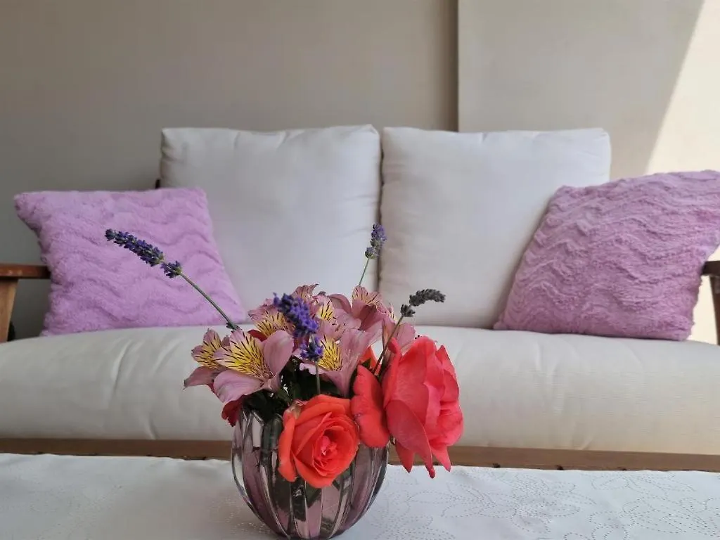 Apartments Ragusa Rovinj 0*,  Chorvatsko